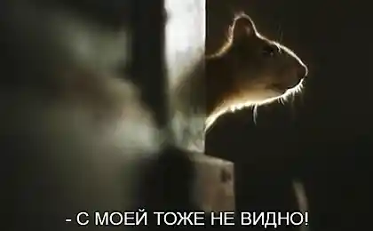 Привіт, подивіться тут!