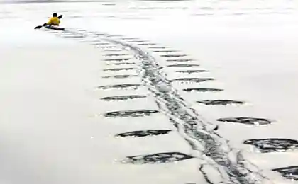 То ли лыжи не едут...