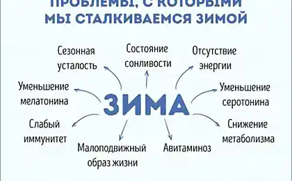 Что нужно знать о зимнем питании, чтобы встретить весну во всеоружии