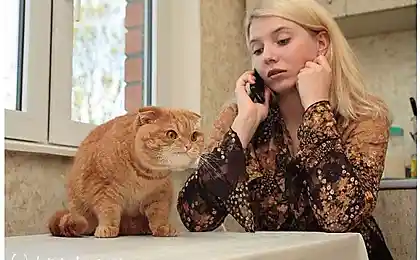 Кот фотомодель.