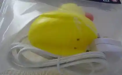 Pato de suicidio