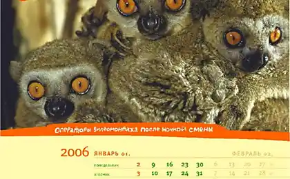 Жорстокий календар без єдиного собаки з Мелехова та Філюрина