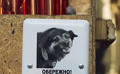 Осторожно - ВСЕ злые!