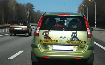 Творчість автовласників