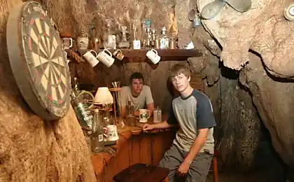 Незвичайна архітектура: baobab - пивний паб