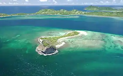 7 Райські острови Що-небудь може купити