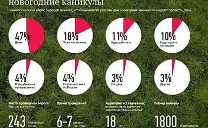 Новогодние инфографики с полезными советами (19 картинок)