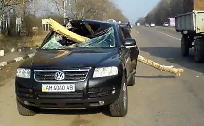 Ступінь людини