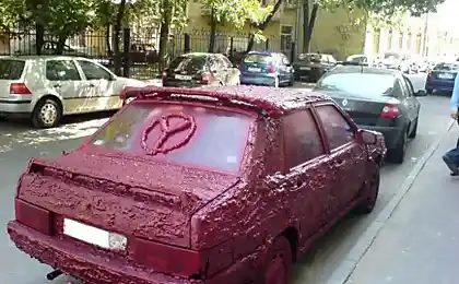 Монстр в піни