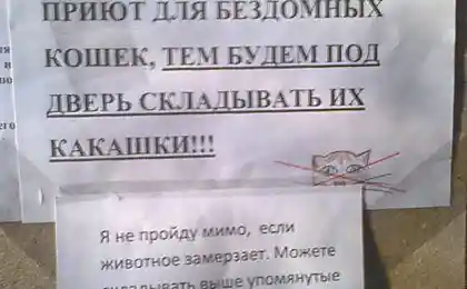 Готов отстаивать добро!