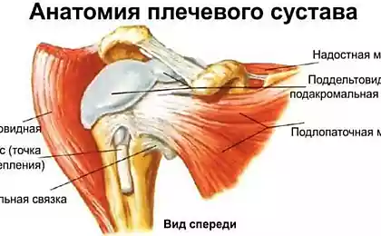 СУПЕР упражнения для плеч