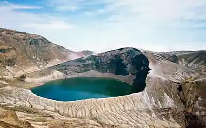 японські шпалери