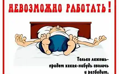 Прикольные объявления (52 фото)