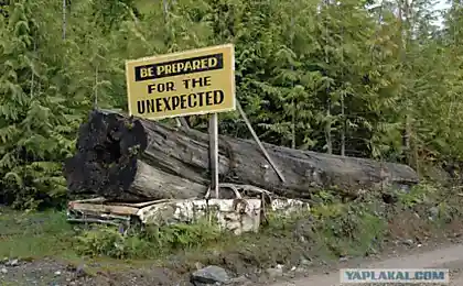 Підготовлений для ... "недосвідчений"