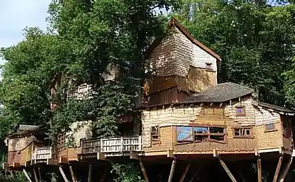 Самый большой дом-дерево (10 фото)