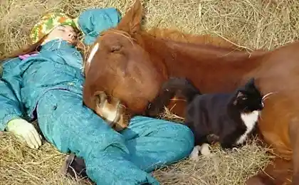 Спим.