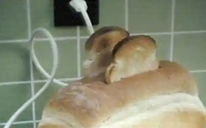 ЕДА, продукты (не реклама и не обертки)
