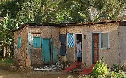 Jamaican yard (2 photos)