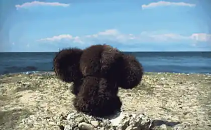 Медитация на берегу