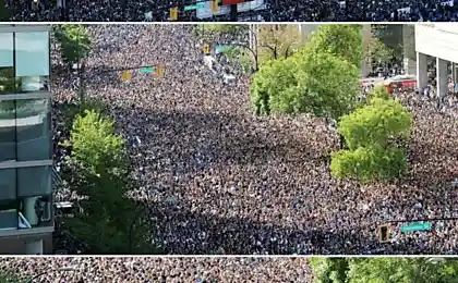 Он что то явно замыслил