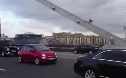 Красная малютка на серьезе