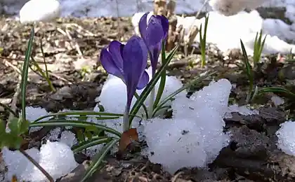 Финал конкурса