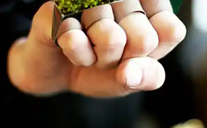 Украшения с растениями Growing Jewelry