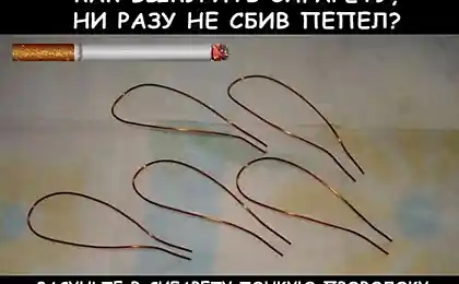 Школьные приколы