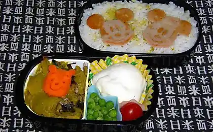 Bento-Японки (26 фото)