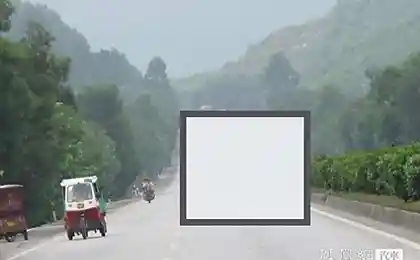 Страшный монстр на дороге (9 фотографий)