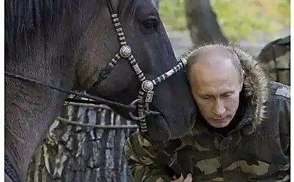 Чому Путін виграв вибори (17 фото)
