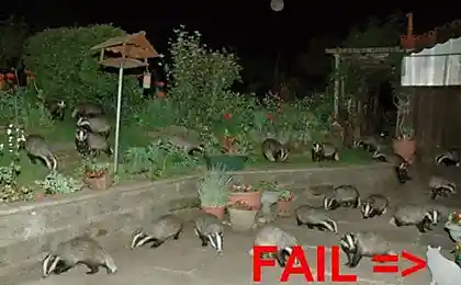 Неудача (20 фото)