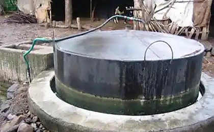 Як отримати біопаливо своїми руками