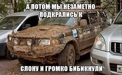 Соблюдайте технику безопасности для саванны