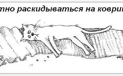 Обов'язки кота по будинку (18 фото)