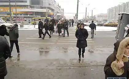 Загадка перехрестя англиків і просвітів