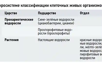 Альгай як їжа і як паливо