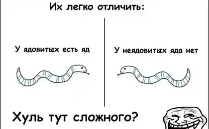 Как отличить змей ядовитых от неядовитых?