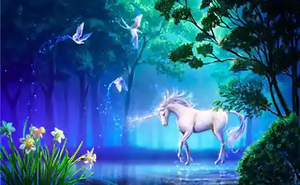Fantasy summer