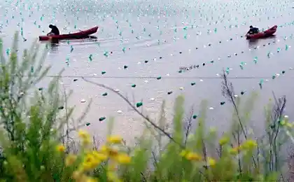 Что-же делают эти люди?