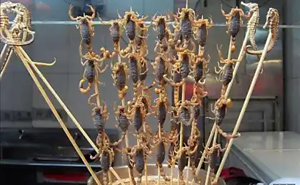 街头食品（7张）
