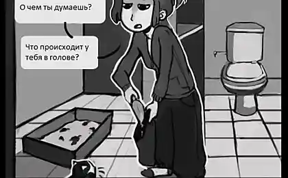 Вечная загадка для кота!