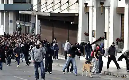 Возвращение пса Сосиски