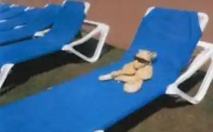 3层要知道所有的商人