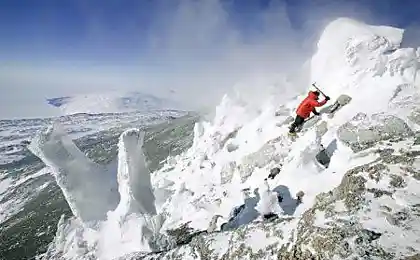 Маскировка