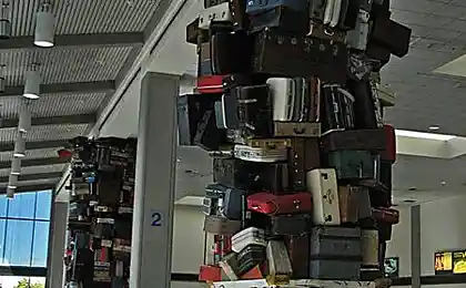 Бардак  в аэропорту Сакраменто