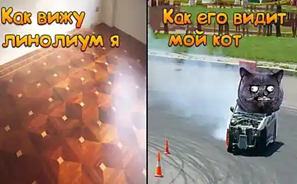 Полигон для дрифта