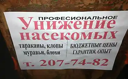 Набрид комах? Зволожуйте їх!