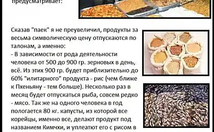 ДПРК. Неофіційно
