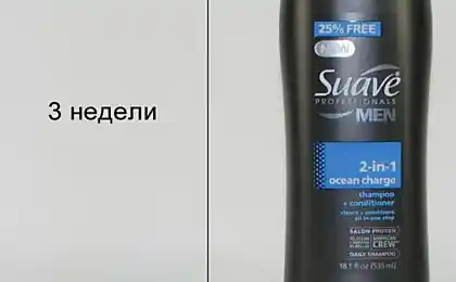 Насколько хватает шампуня